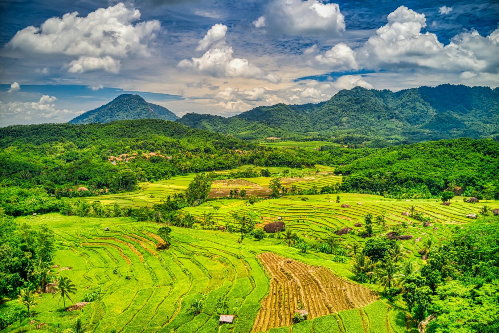 Indonesian Landscape