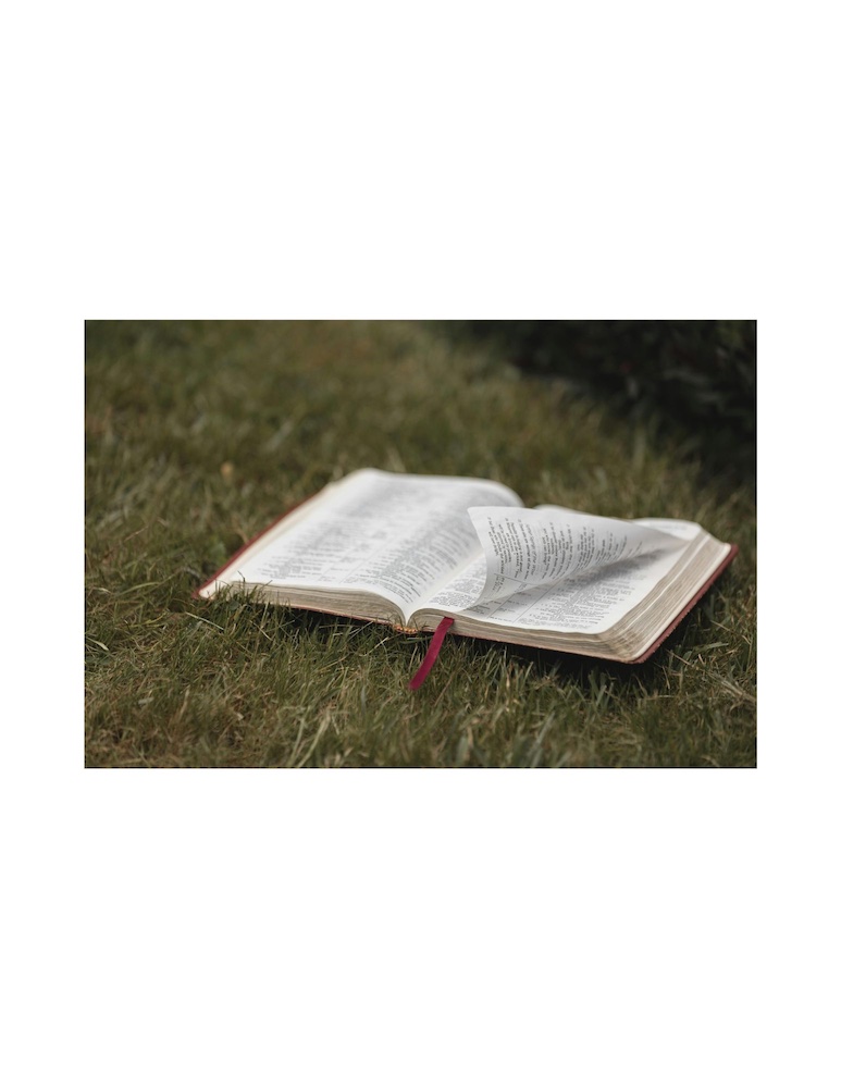 Bible open to Genesis 12 showing Abrahamic covenant, foundational scripture for missions bible study